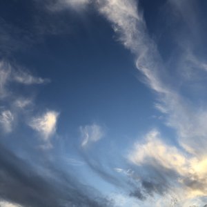 四川老熟女毛茸茸
