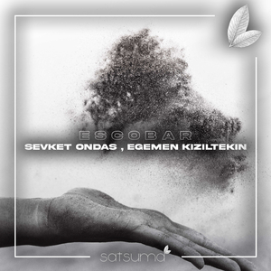 四川老熟女毛茸茸
