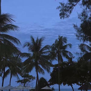 四川老熟女毛茸茸
